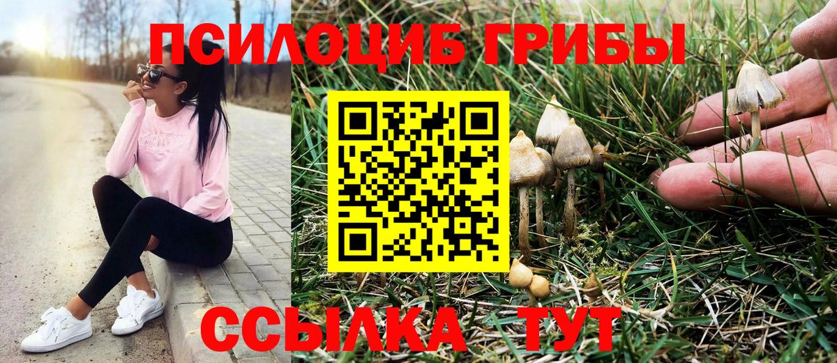 Галлюциногенные грибы Magic Shrooms  Галлюциногенные грибы Magic Shrooms  Вход с VPN  Арсеньев 